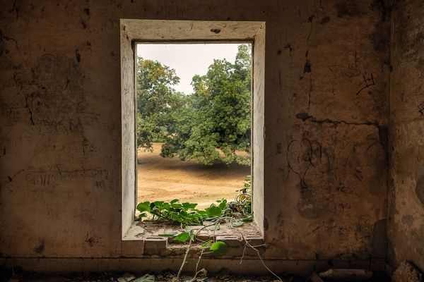 © Tira Khan - Eye of the Palace