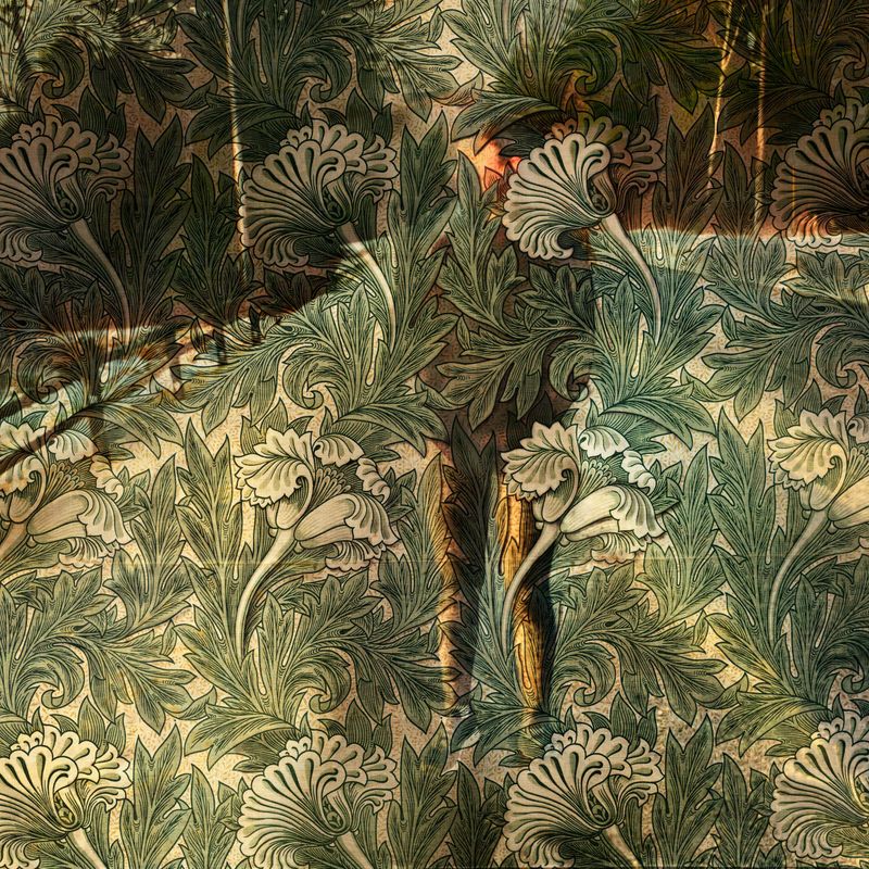 © Tira Khan - Image from the The Woman in the Wall photography project