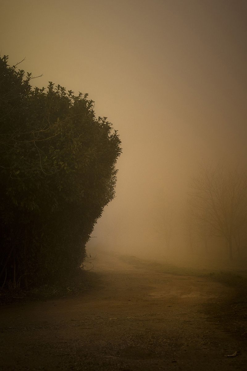 © Gianluca Attoli - Image from the Suburban Base photography project