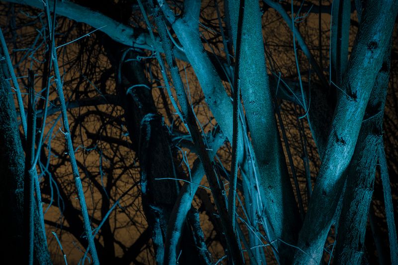 © Gianluca Attoli - Image from the Sparks photography project