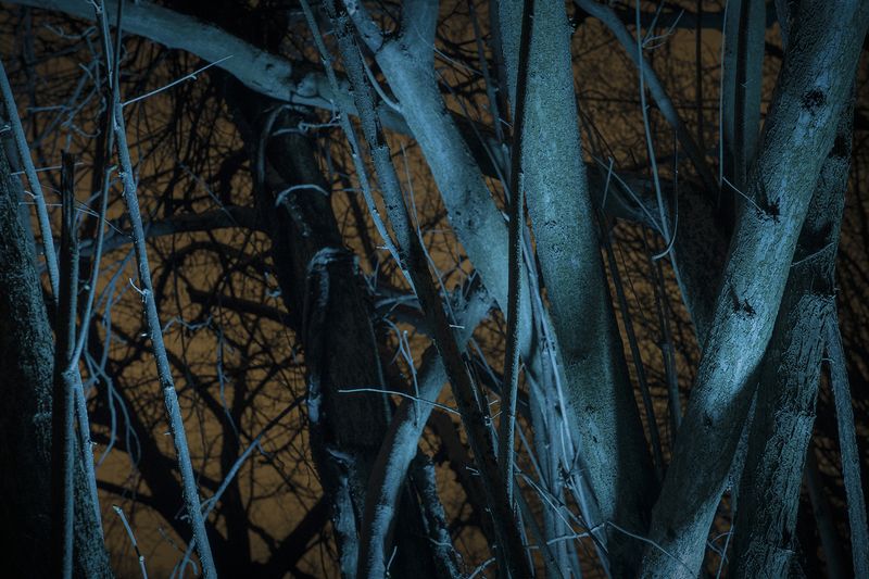 © Gianluca Attoli - Image from the Sparks photography project
