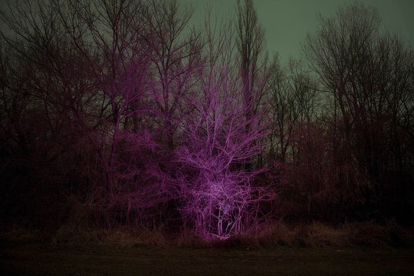 © Gianluca Attoli - Image from the Sparks photography project