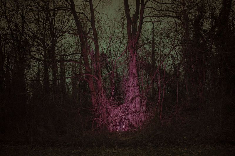 © Gianluca Attoli - Image from the Sparks photography project