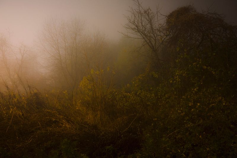 © Gianluca Attoli - Image from the The dream is always the same photography project