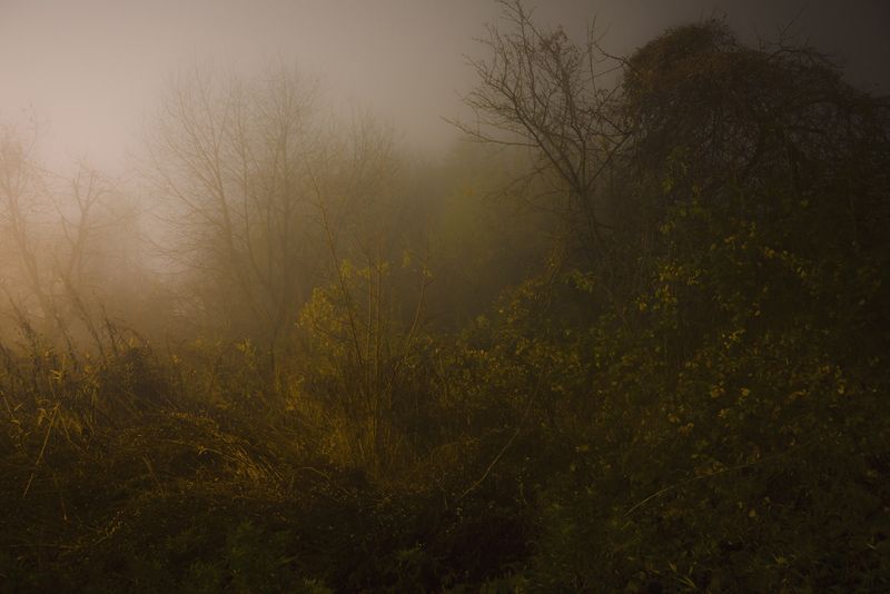 © Gianluca Attoli - Image from the The dream is always the same photography project