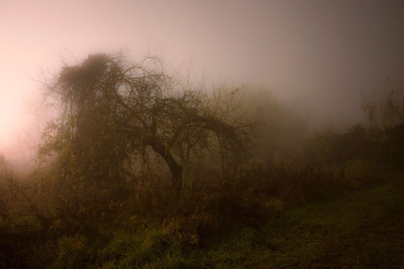 © Gianluca Attoli - Image from the The dream is always the same photography project