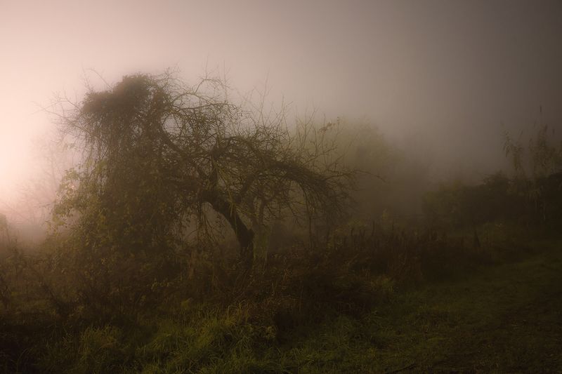 © Gianluca Attoli - Image from the The dream is always the same photography project