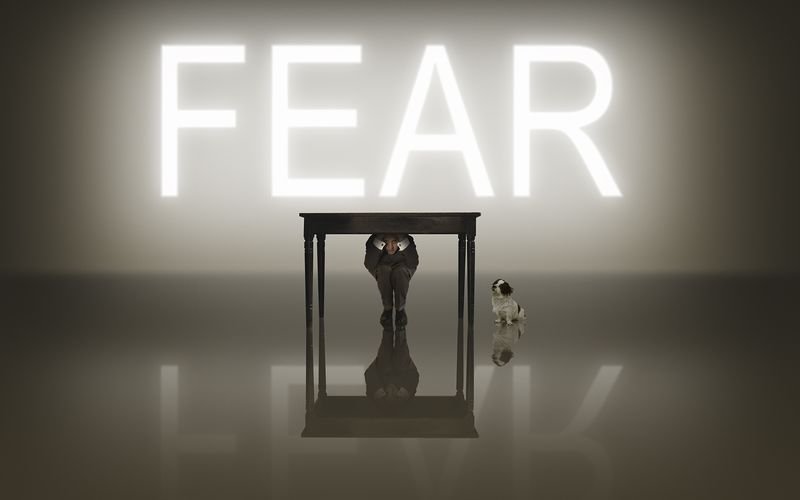 © THIERRY FLAMAND - Image from the It is all fake, unless… photography project