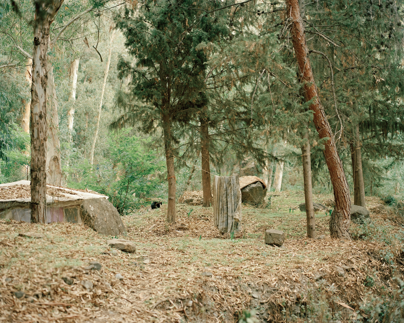 © Carsten Kalaschnikow - Benefico, Alpujarras, 2019.