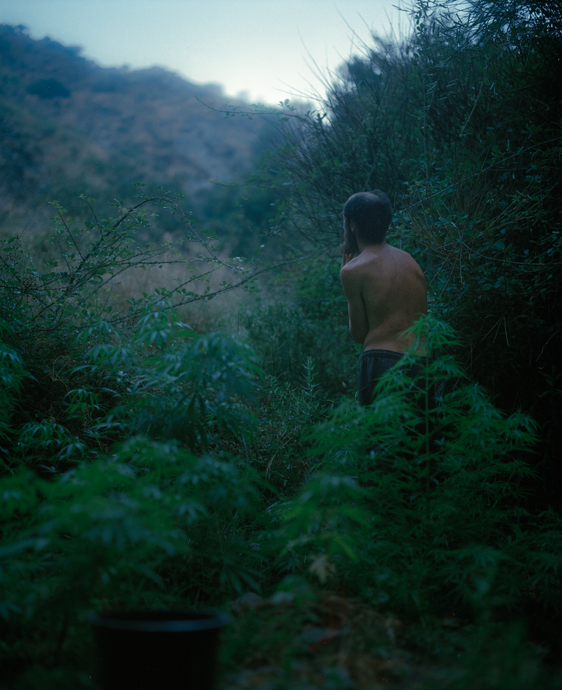 © Carsten Kalaschnikow - A plantation, Beneficio, 2017.