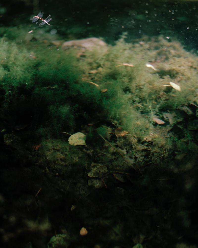 © Carsten Kalaschnikow - The Spring, Beneficio, Alpujarras, 2019.