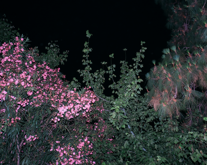 © Carsten Kalaschnikow - İzmir, 2019.