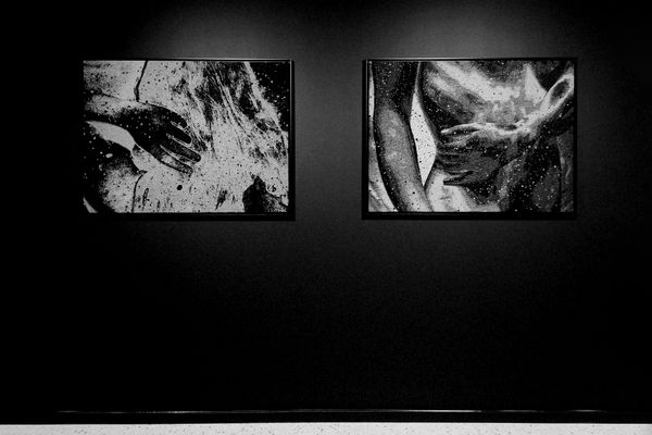 © Julie van der Vaart - Installation shotWoven works86cm×112cm eachMounted and framed
