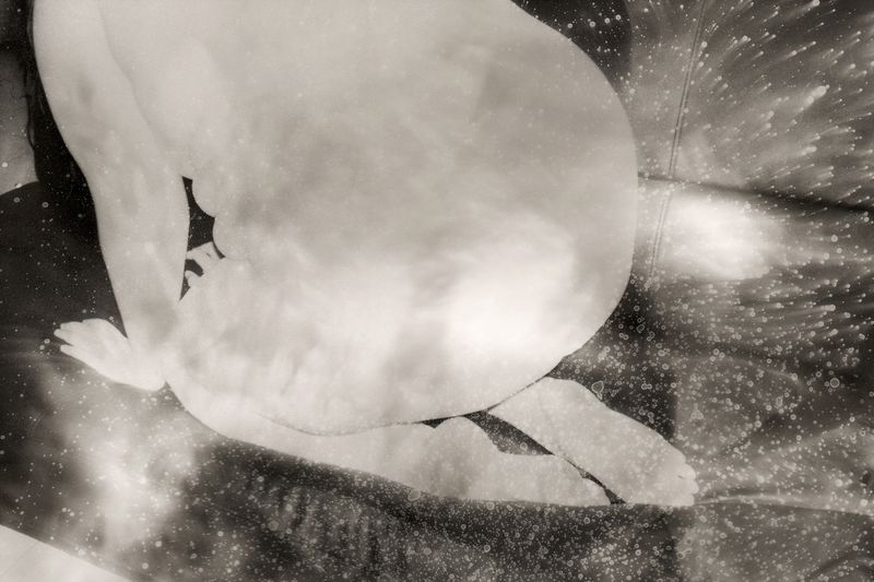 © Julie van der Vaart - Image from the Beyond Time photography project