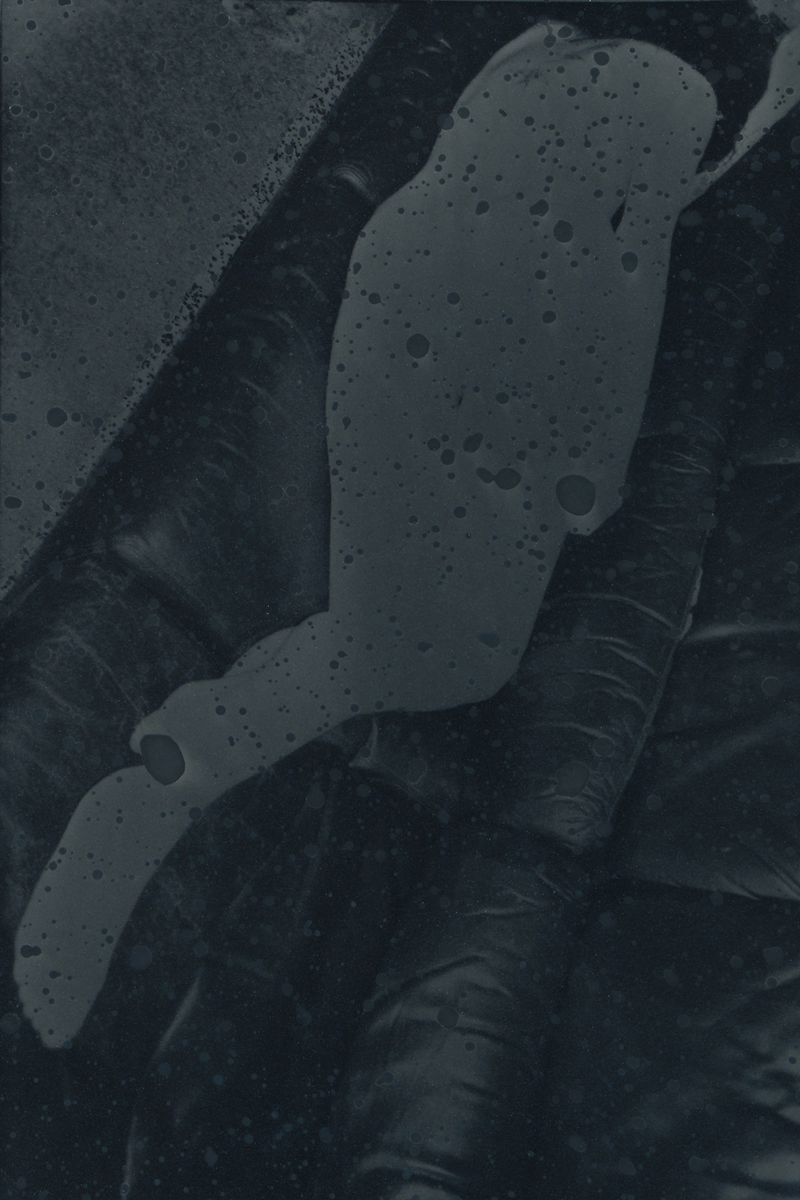 © Julie van der Vaart - Image from the Beyond Time photography project