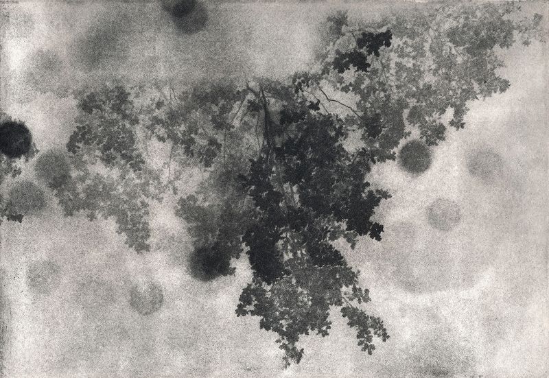 © Julie van der Vaart - Image from the Black Cloud photography project
