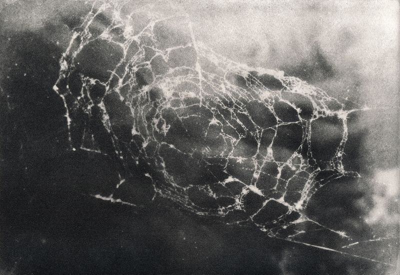 © Julie van der Vaart - Image from the Black Cloud photography project