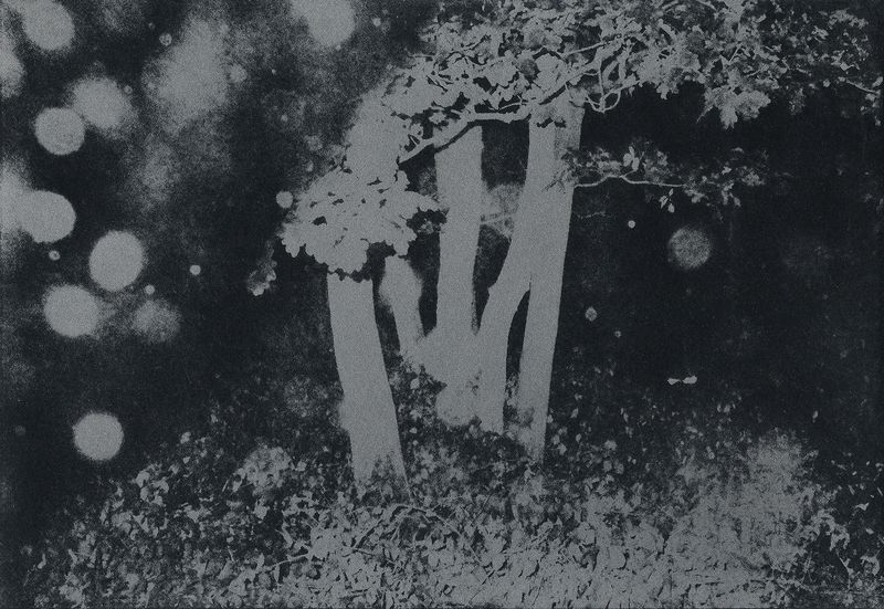 © Julie van der Vaart - Image from the Black Cloud photography project