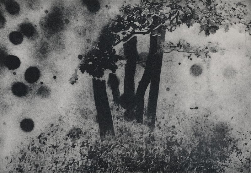 © Julie van der Vaart - Image from the Black Cloud photography project