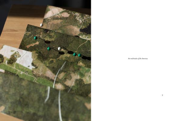 © Sheung Yiu - the multitudes of the Americas