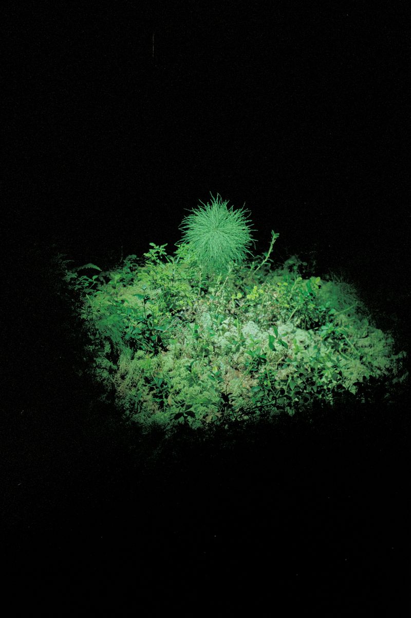 © Sheung Yiu - Image from the Ground Truth photography project