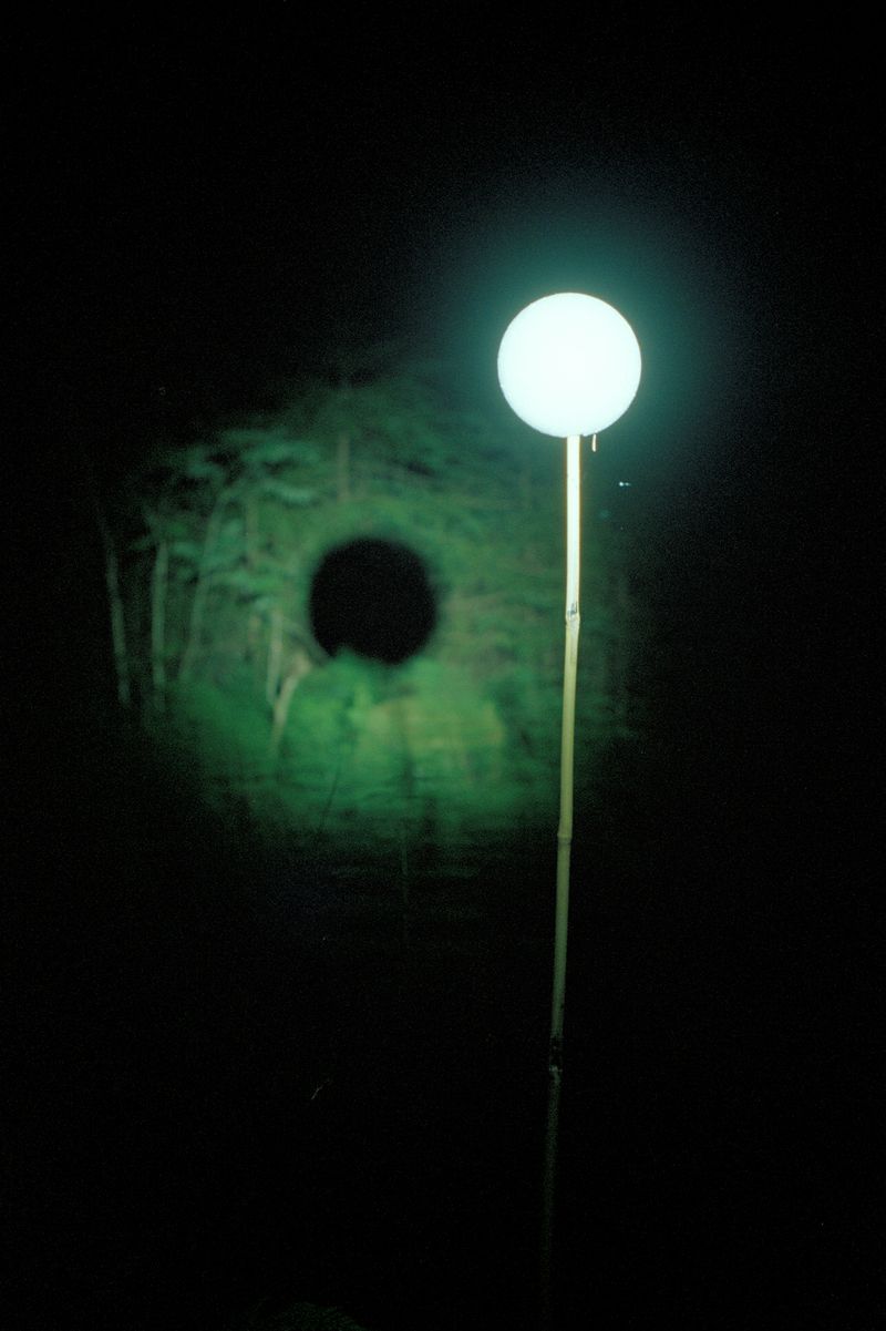 © Sheung Yiu - A spherical marker reseachers used to stitch together multiple 3D laser scans of the surveyed landscape