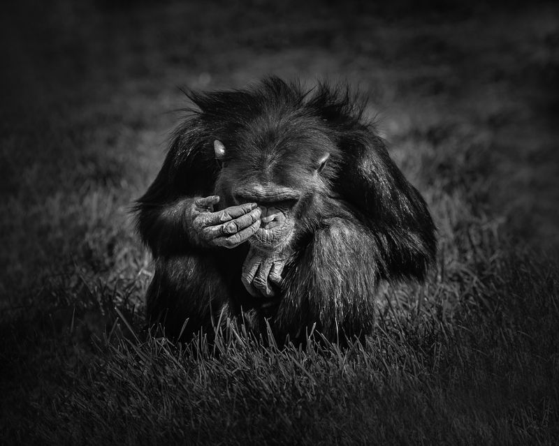 © Marina Papagianni - Shame