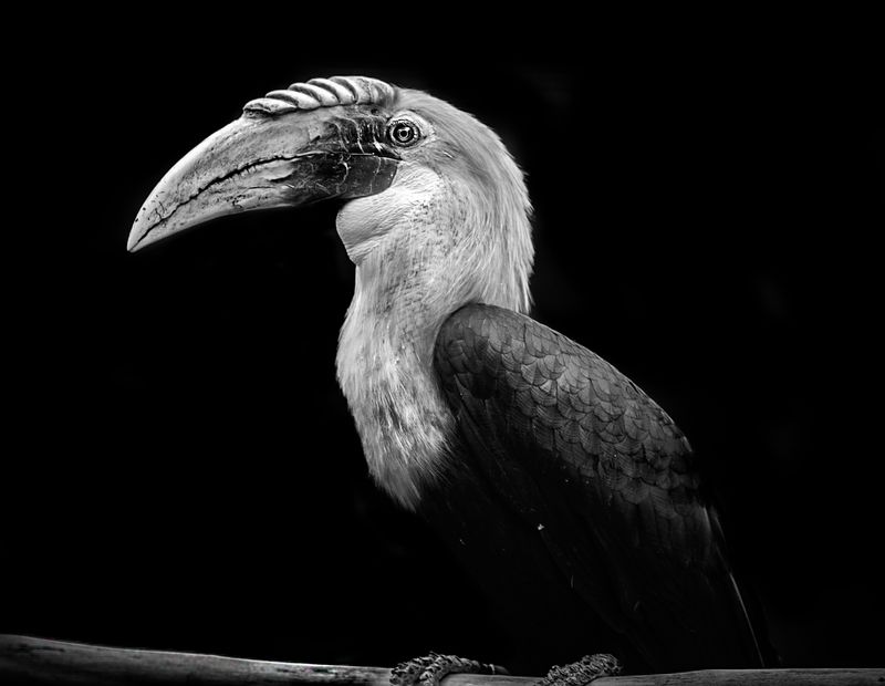 © Marina Papagianni - Vanity