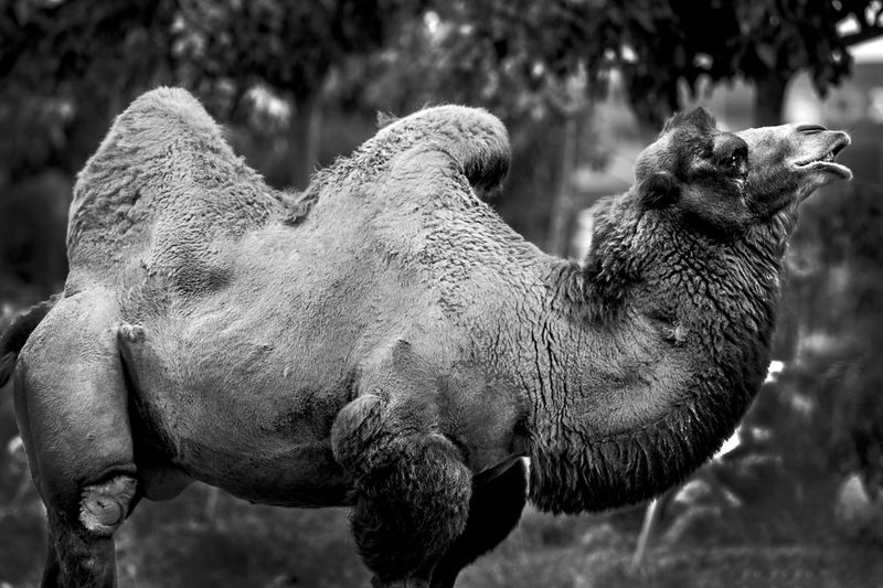 © Marina Papagianni - Verbiage