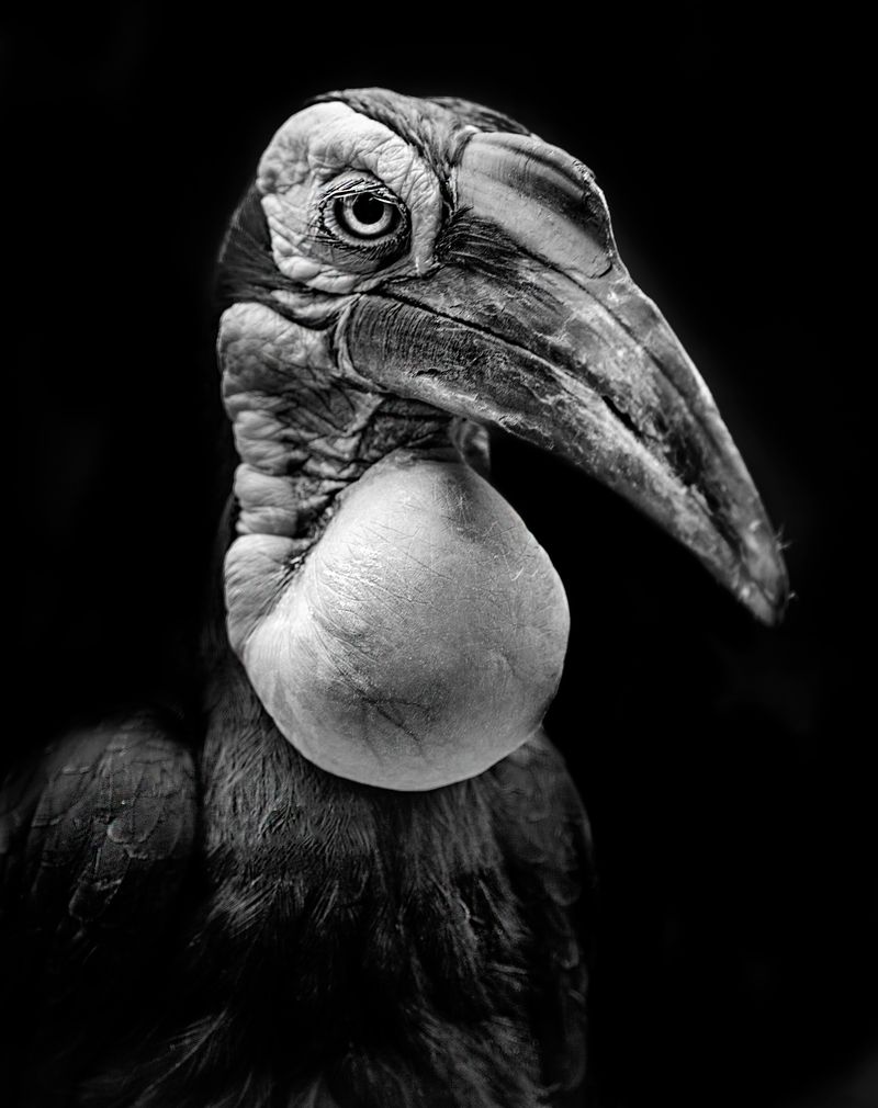 © Marina Papagianni - Depreciation