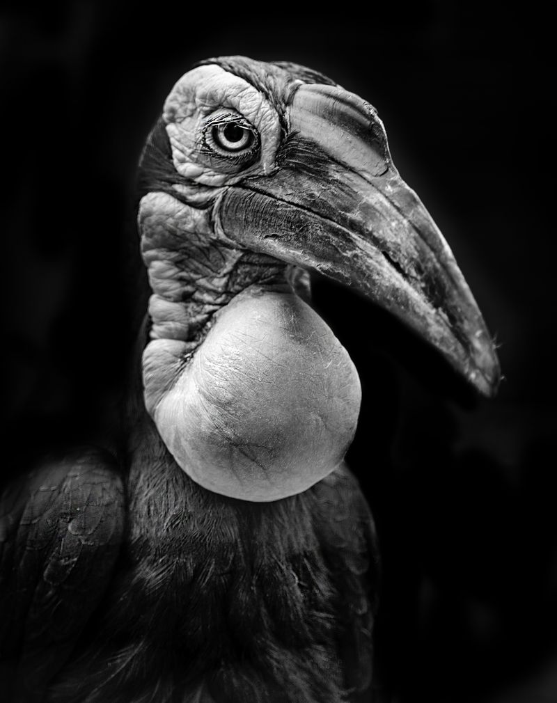 © Marina Papagianni - Depreciation