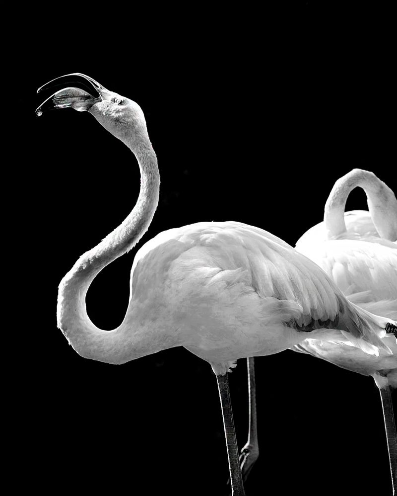 © Marina Papagianni - Amazement