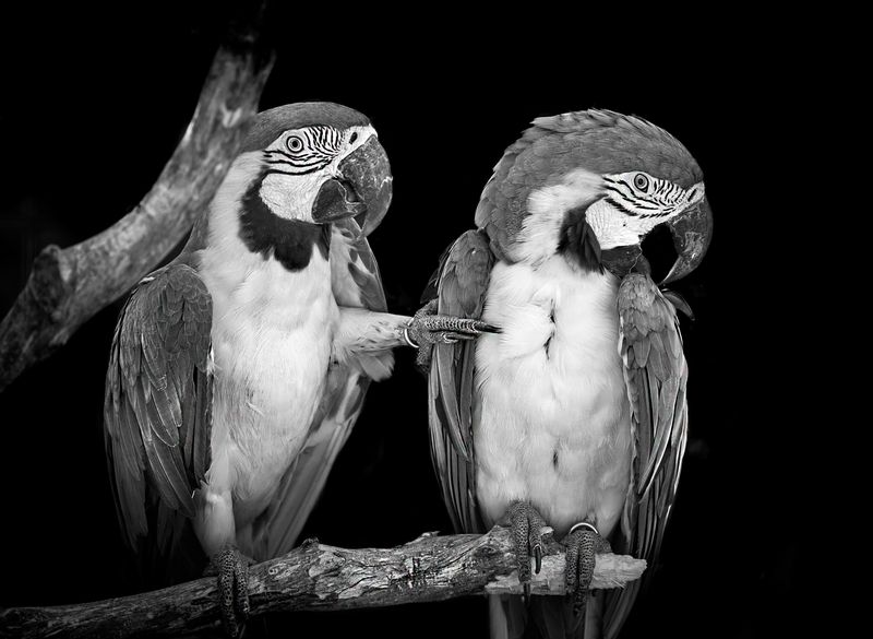 © Marina Papagianni - Resentment