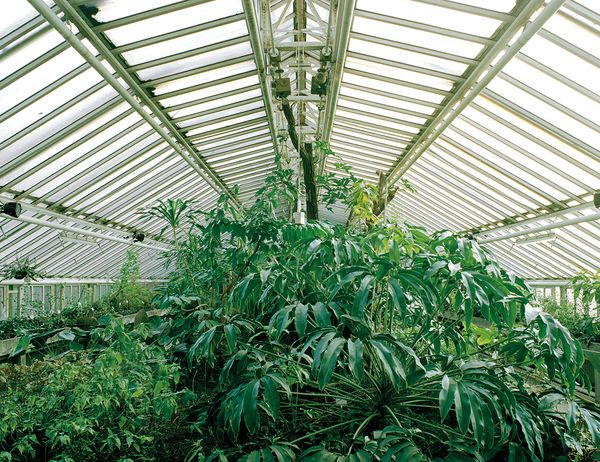 © Melanie Hübner - Image from the PARADISE LOST photography project