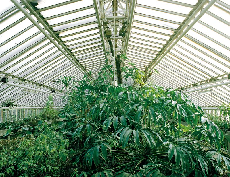 © Melanie Hübner - Image from the PARADISE LOST photography project