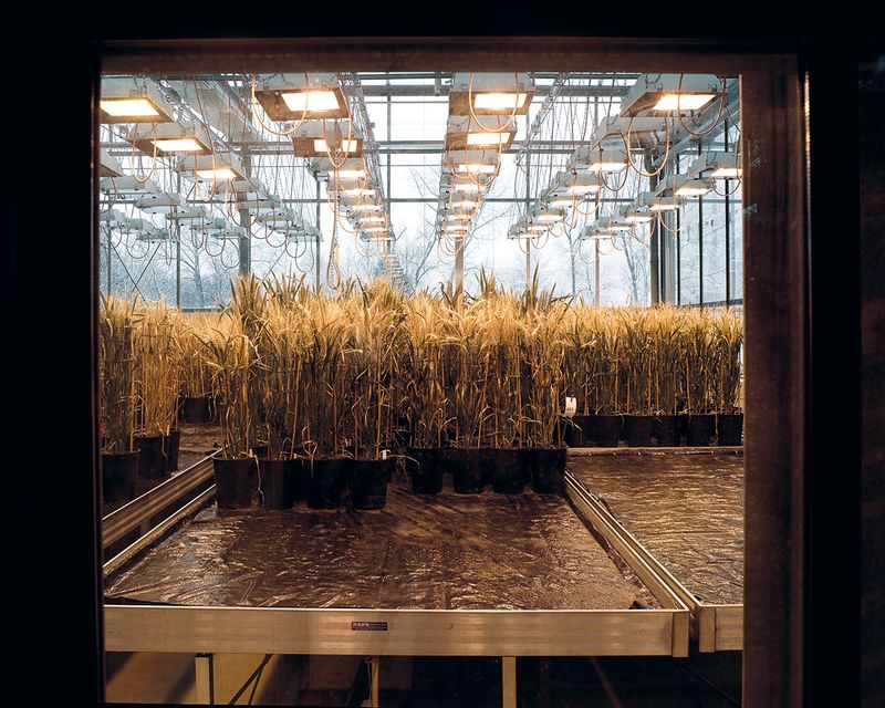 © Melanie Hübner - Image from the PARADISE LOST photography project