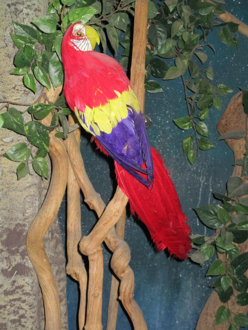 © Denise Ogan - Image from the The irrelevance photography project