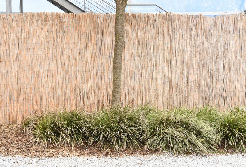 © Denise Ogan - Image from the The irrelevance photography project