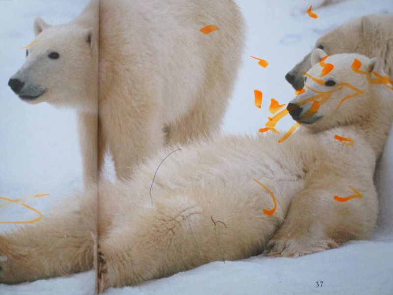 © Denise Ogan - Image from the The irrelevance photography project