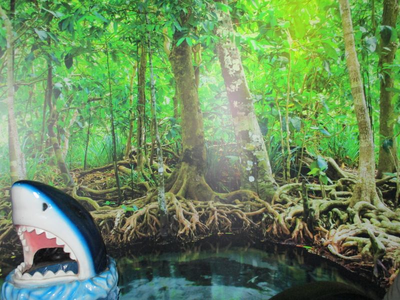 © Denise Ogan - Image from the The irrelevance photography project