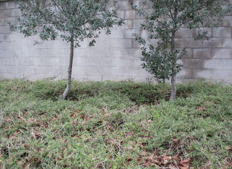 © Denise Ogan - Image from the The irrelevance photography project