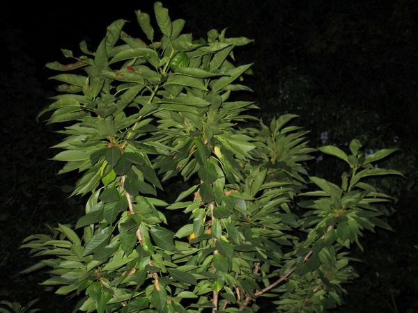 © Denise Ogan - Image from the No rain today photography project