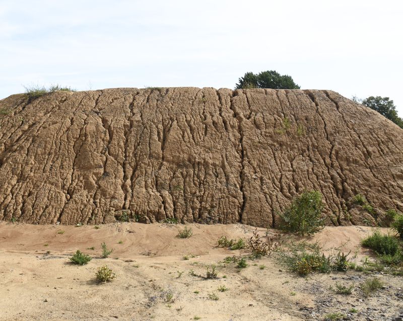 © Denise Ogan - Image from the No rain today photography project