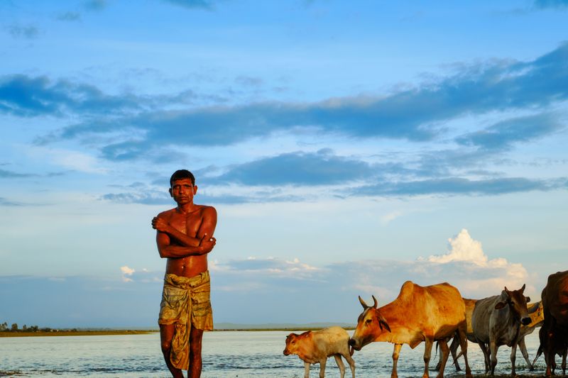 © Kabiur Rahman Riyad - "The Cattle Herder" | Chilmari, Kurigram | 2025