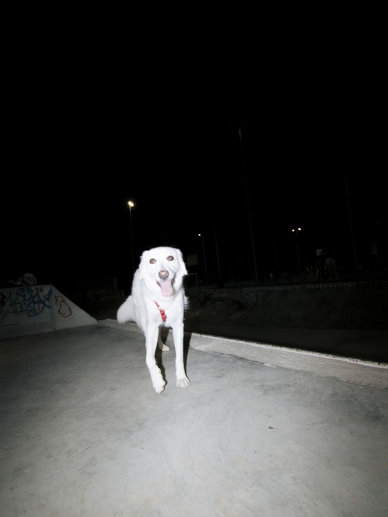 © Mirko Ostuni - Image from the Onde Sommerse photography project