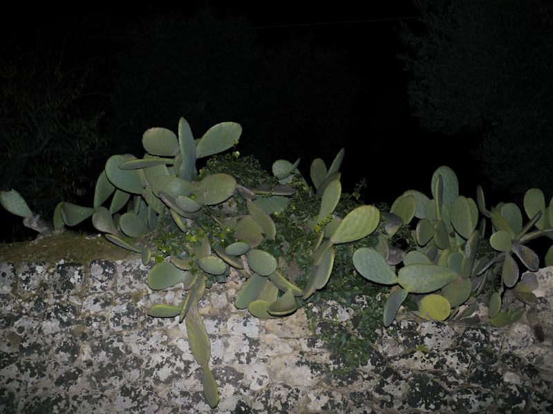 © Mirko Ostuni - Image from the Onde Sommerse photography project
