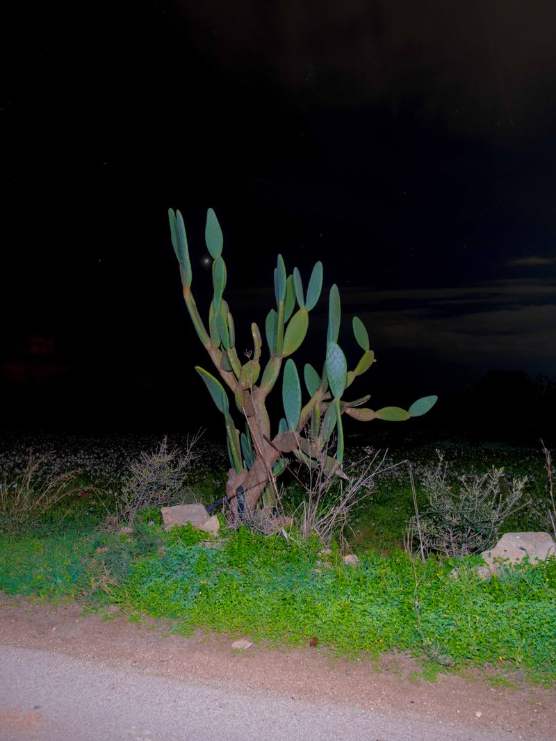 © Mirko Ostuni - Image from the Four to the Dirt photography project