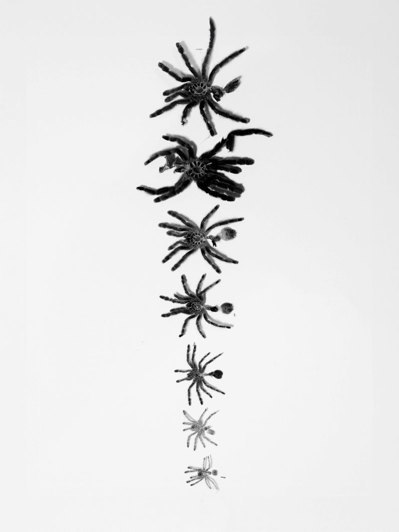 © Mirko Ostuni - Image from the Four to the Dirt photography project