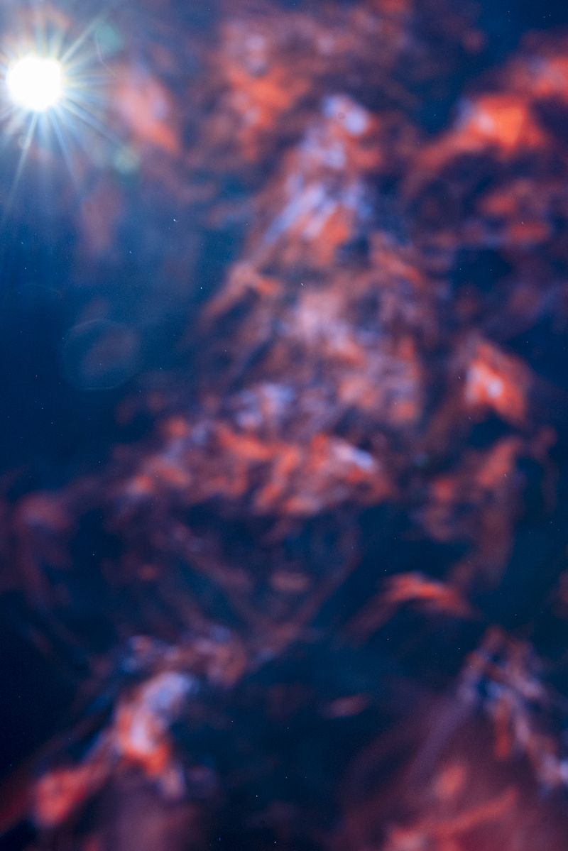 © Francesca Macis - Image from the Il giorno in cui si spense il sole photography project