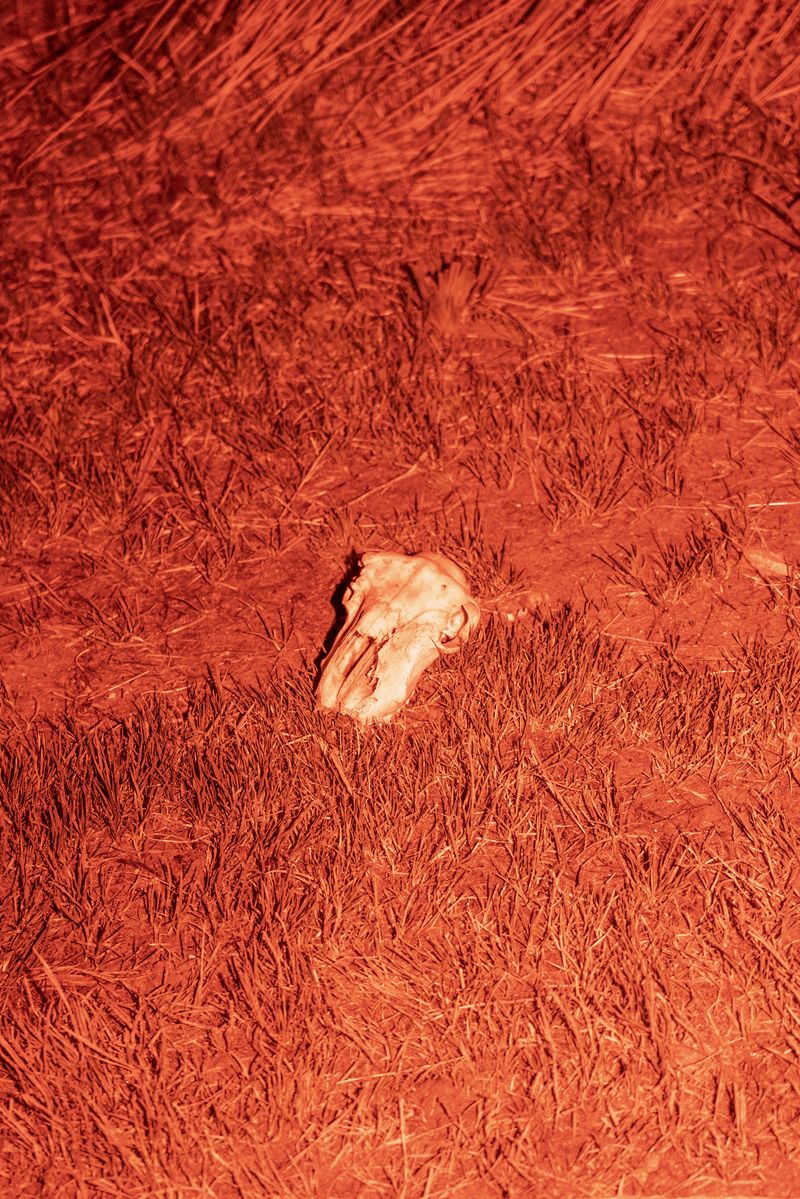 © Francesca Macis - Image from the Il giorno in cui si spense il sole photography project